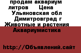 продам аквариум 50 литров.  › Цена ­ 500 - Ульяновская обл., Димитровград г. Животные и растения » Аквариумистика   